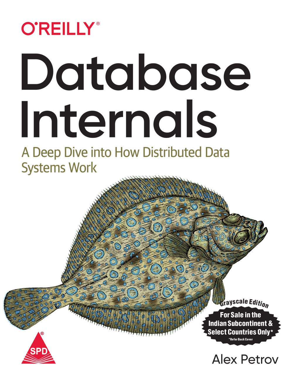 Database Internals a Deep Dive Into How Distributed Data Systems Work by Alex Petrov