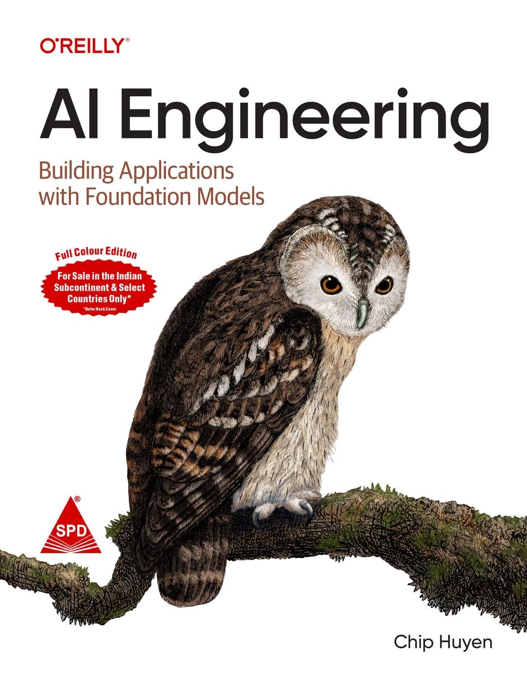 AI Engineering (Full Colour Edition) by Chip Huyen